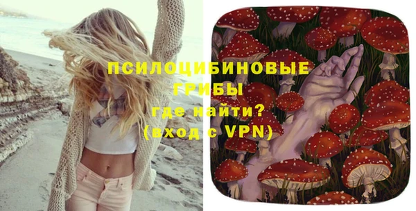 jwh Вяземский