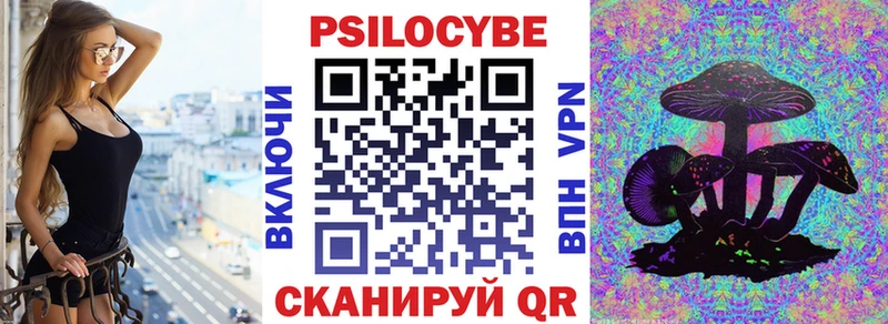 Купить закладки  Лебедянь  Галлюциногенные грибы прущие грибы 