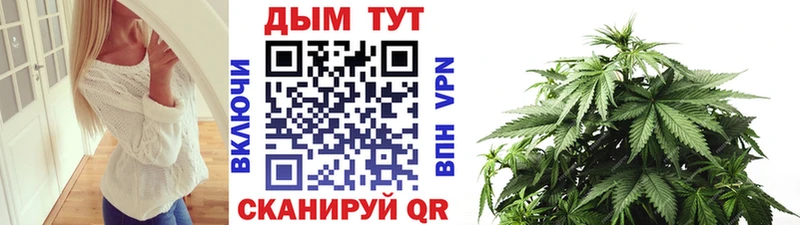 Бошки Шишки гибрид Лебедянь